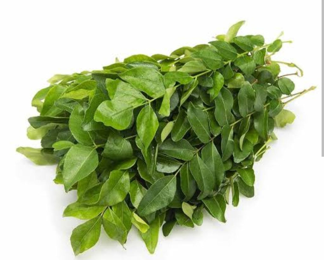 Curry Leaves (Karivepaku)