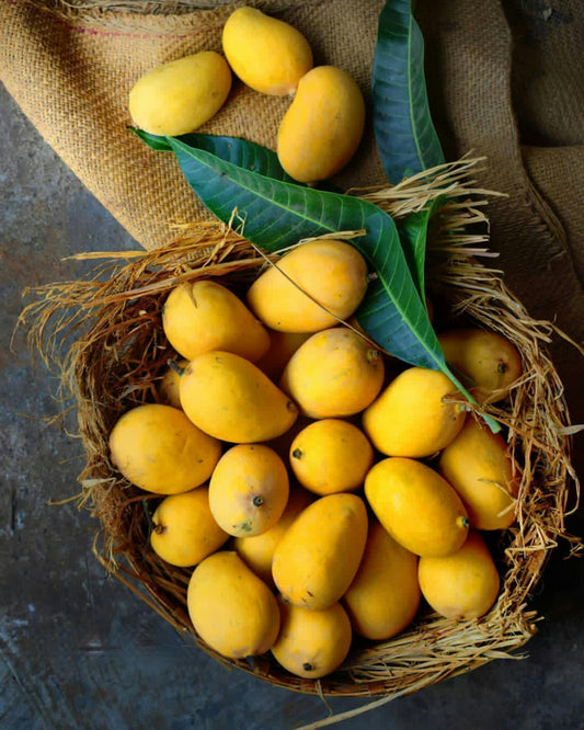 Mango (Bangenapalli)