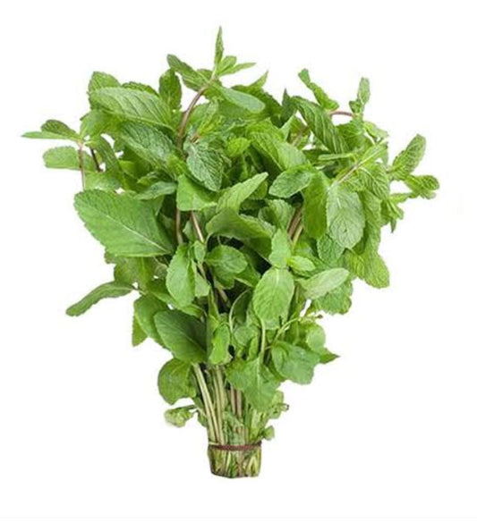 Mint Leaves (Pudhina)